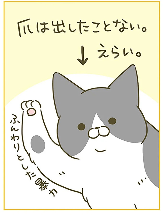 うちの猫はお世話好き。仕事に集中できない飼い主が与えた代替は…／うちの猫がまた変なことしてる。5（画像104/137枚目）