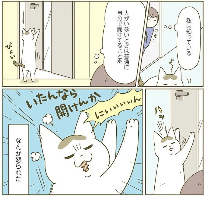 うちの猫はお世話好き。仕事に集中できない飼い主が与えた代替は…／うちの猫がまた変なことしてる。5（画像107/137枚目）