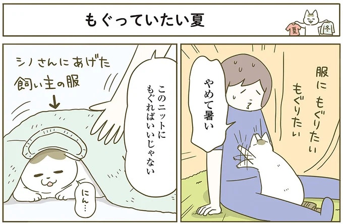 うちの猫はお世話好き。仕事に集中できない飼い主が与えた代替は…／うちの猫がまた変なことしてる。5（画像108/137枚目）