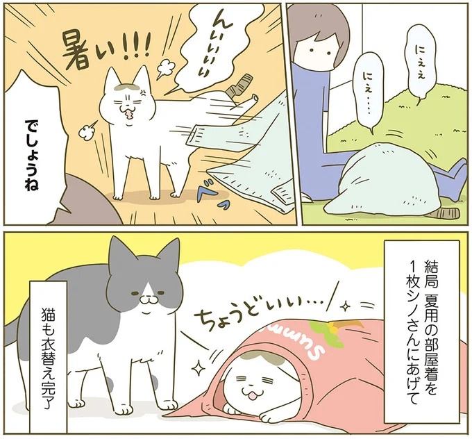 うちの猫はお世話好き。仕事に集中できない飼い主が与えた代替は…／うちの猫がまた変なことしてる。5（画像109/137枚目）