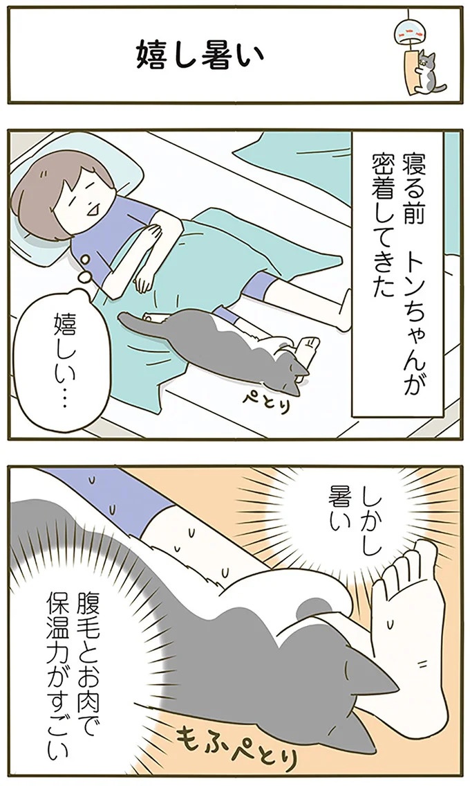 うちの猫はお世話好き。仕事に集中できない飼い主が与えた代替は…／うちの猫がまた変なことしてる。5（画像111/137枚目）