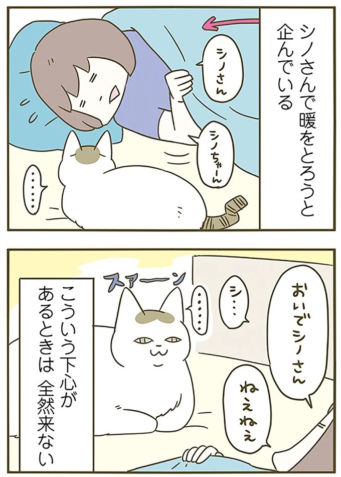 うちの猫はお世話好き。仕事に集中できない飼い主が与えた代替は…／うちの猫がまた変なことしてる。5（画像117/137枚目）