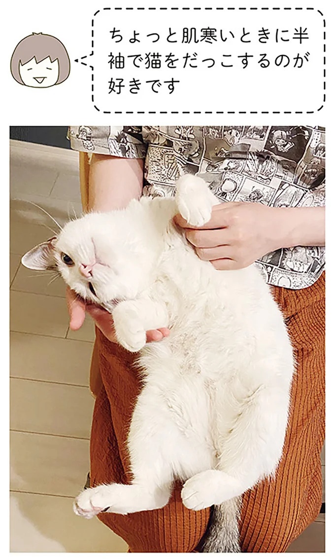 うちの猫はお世話好き。仕事に集中できない飼い主が与えた代替は…／うちの猫がまた変なことしてる。5（画像118/137枚目）