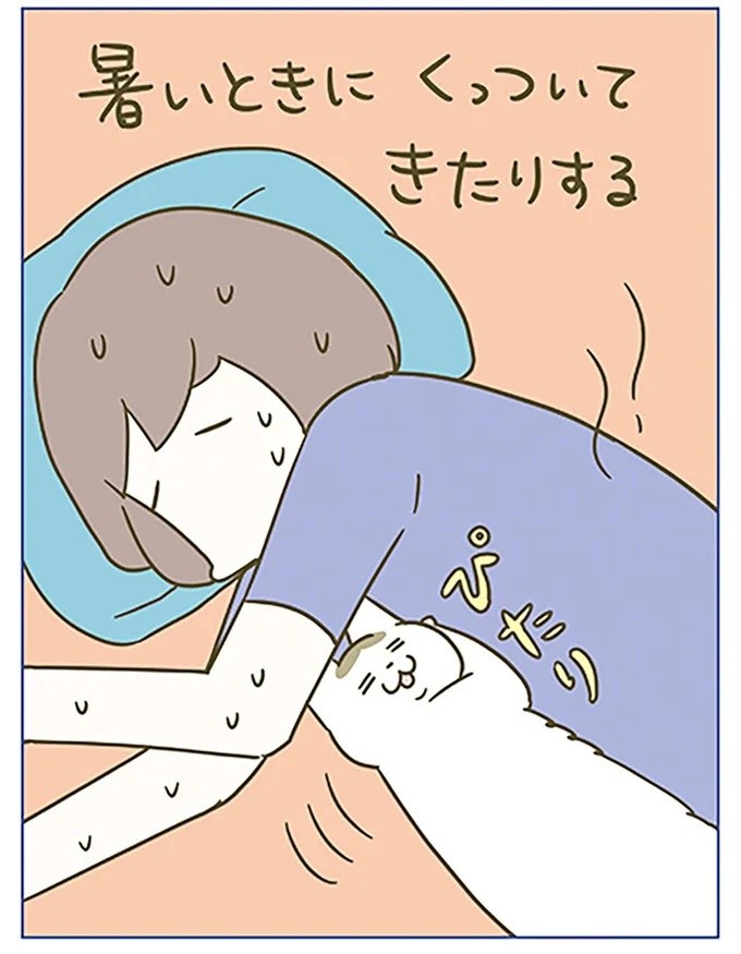 うちの猫はお世話好き。仕事に集中できない飼い主が与えた代替は…／うちの猫がまた変なことしてる。5（画像119/137枚目）