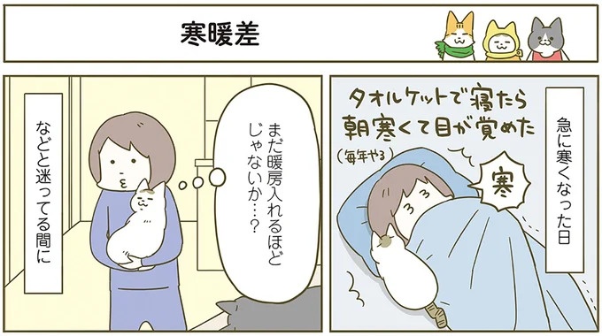 うちの猫はお世話好き。仕事に集中できない飼い主が与えた代替は…／うちの猫がまた変なことしてる。5（画像124/137枚目）