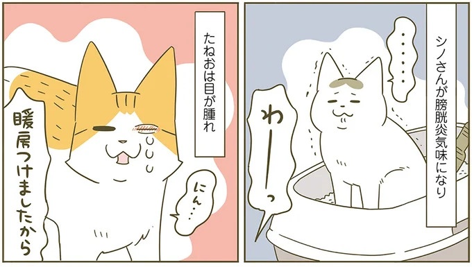うちの猫はお世話好き。仕事に集中できない飼い主が与えた代替は…／うちの猫がまた変なことしてる。5（画像126/137枚目）