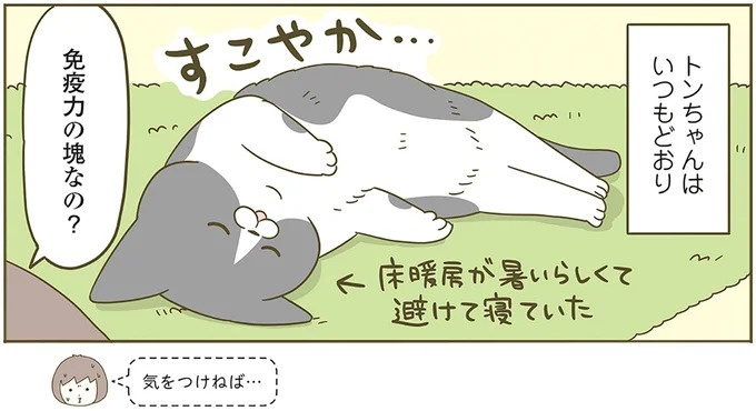 うちの猫はお世話好き。仕事に集中できない飼い主が与えた代替は…／うちの猫がまた変なことしてる。5（画像127/137枚目）