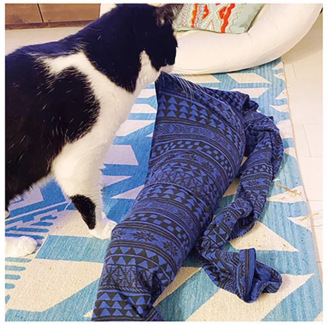 うちの猫はお世話好き。仕事に集中できない飼い主が与えた代替は…／うちの猫がまた変なことしてる。5（画像132/137枚目）