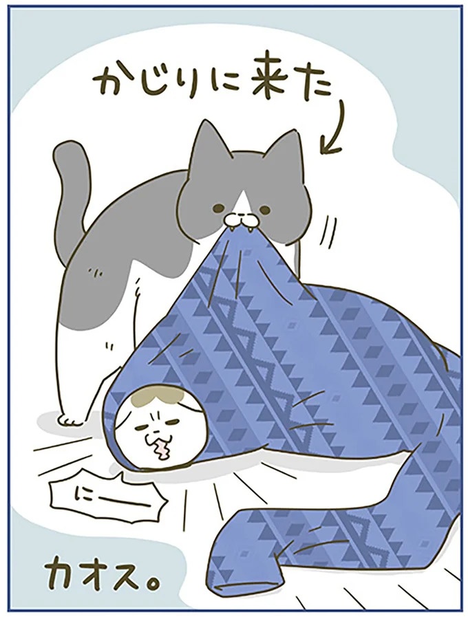 うちの猫はお世話好き。仕事に集中できない飼い主が与えた代替は…／うちの猫がまた変なことしてる。5（画像133/137枚目）
