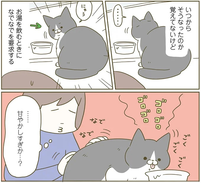 うちの猫はお世話好き。仕事に集中できない飼い主が与えた代替は…／うちの猫がまた変なことしてる。5（画像136/137枚目）