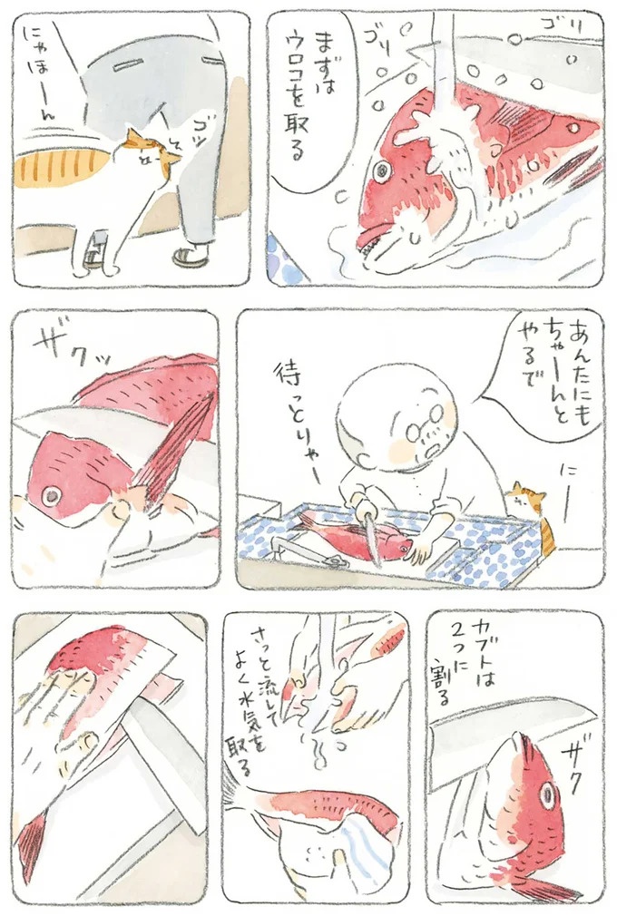 捨てたのは骨だけ！ 鯛を食べ尽くすじいちゃんの手料理／ねことじいちゃん4（画像3枚目）