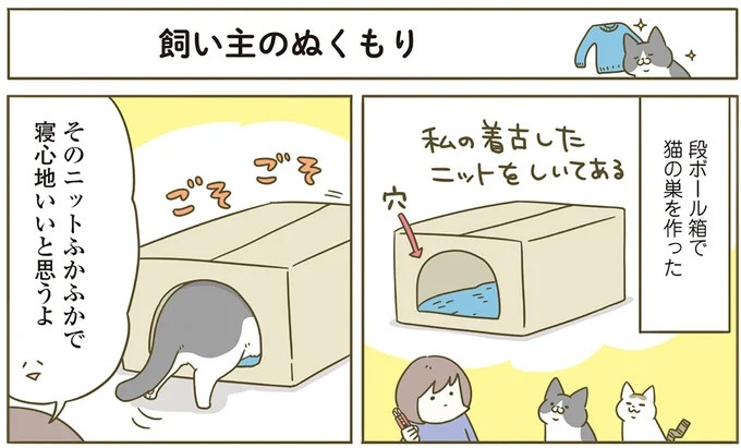 3日ほど留守したときの猫。帰宅後はいつにもまして「くっつき虫」に／うちの猫がまた変なことしてる。5（画像7/9枚目）