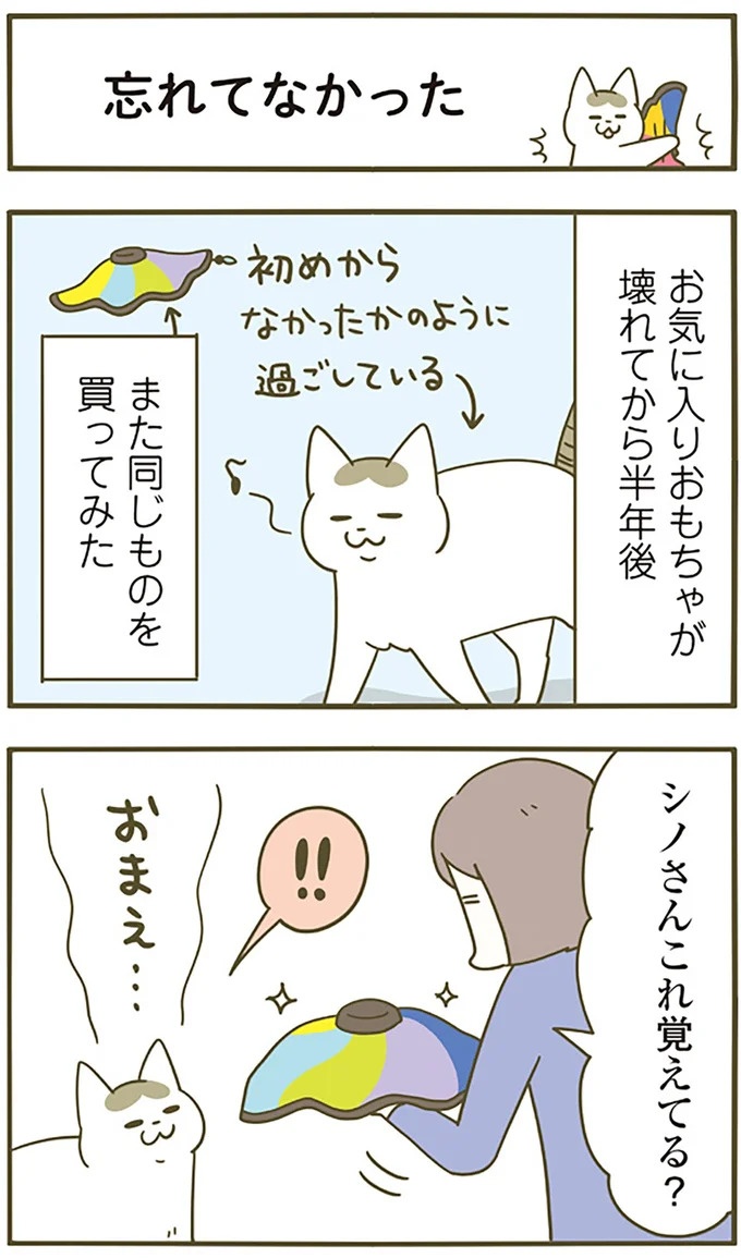 「生きとったんか！」という顔の猫。壊れたおもちゃを買いなおしたら…／うちの猫がまた変なことしてる。5（画像4枚目）