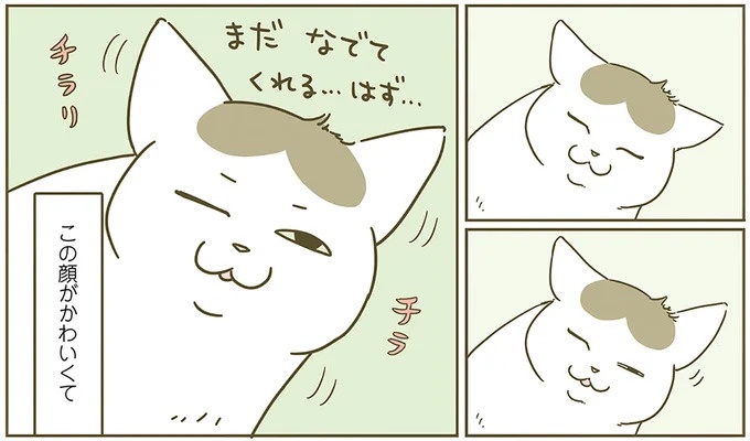 猫は、飼い主が考えていることがわかる？ 「かわいい」と思っただけで／うちの猫がまた変なことしてる。6（画像6/11枚目）