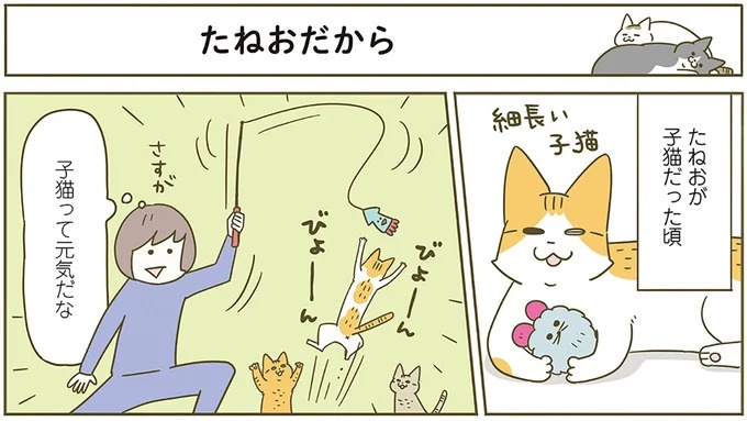 猫は、飼い主が考えていることがわかる？ 「かわいい」と思っただけで／うちの猫がまた変なことしてる。6（画像8/11枚目）