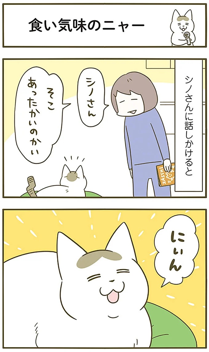 愛猫の食い気味の「ニャー」。話しかけたら返事をしてくれるけど、たぶん…／うちの猫がまた変なことしてる。6（画像4枚目）