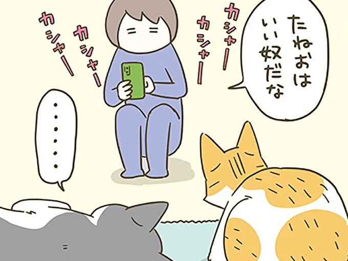 いまだに仲良くならない新入り猫とボス猫。2ショットを撮ろうとすると…!?／うちの猫がまた変なことしてる。6