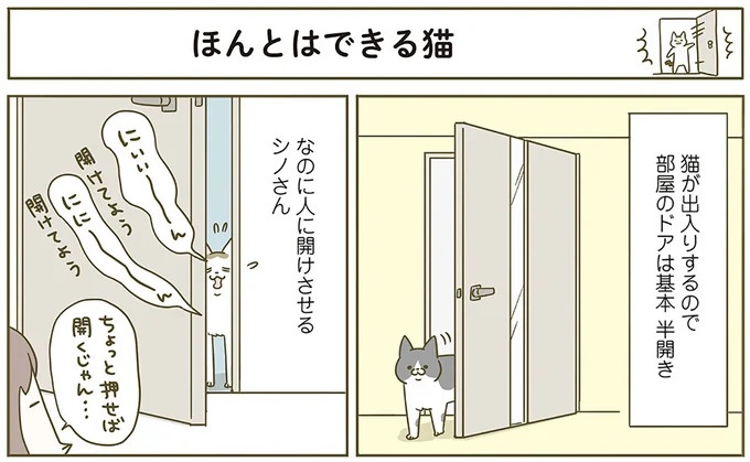 いまだに仲良くならない新入り猫とボス猫。2ショットを撮ろうとすると…!?／うちの猫がまた変なことしてる。6（画像8/13枚目）