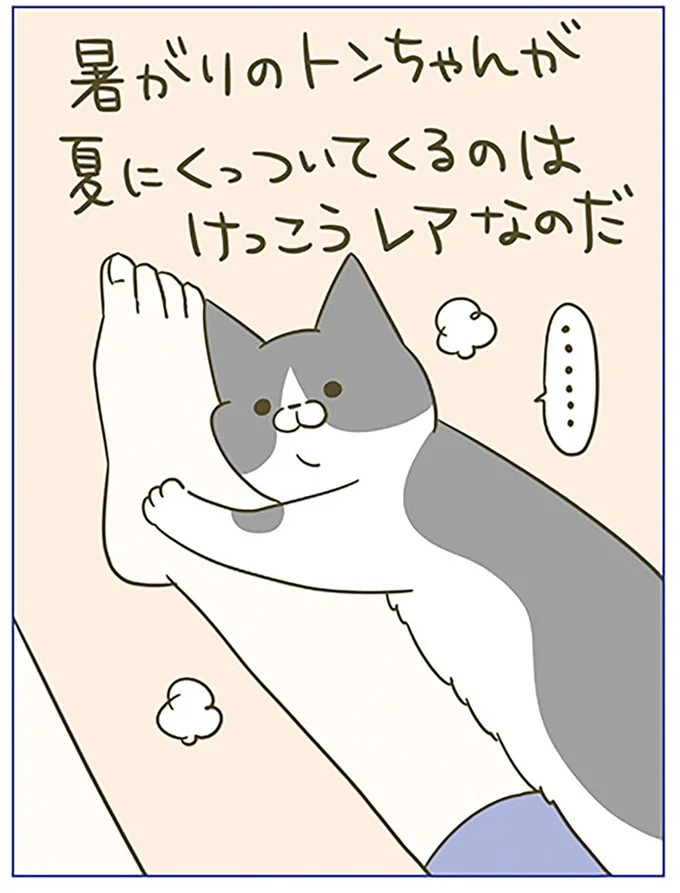 寝る前に猫が密着してきて嬉しい！ なのに猫が離れていった「痛恨のミス」は／うちの猫がまた変なことしてる。6（画像6/16枚目）