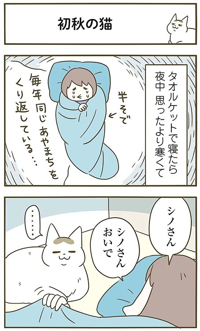 寝る前に猫が密着してきて嬉しい！ なのに猫が離れていった「痛恨のミス」は／うちの猫がまた変なことしてる。6（画像7/16枚目）