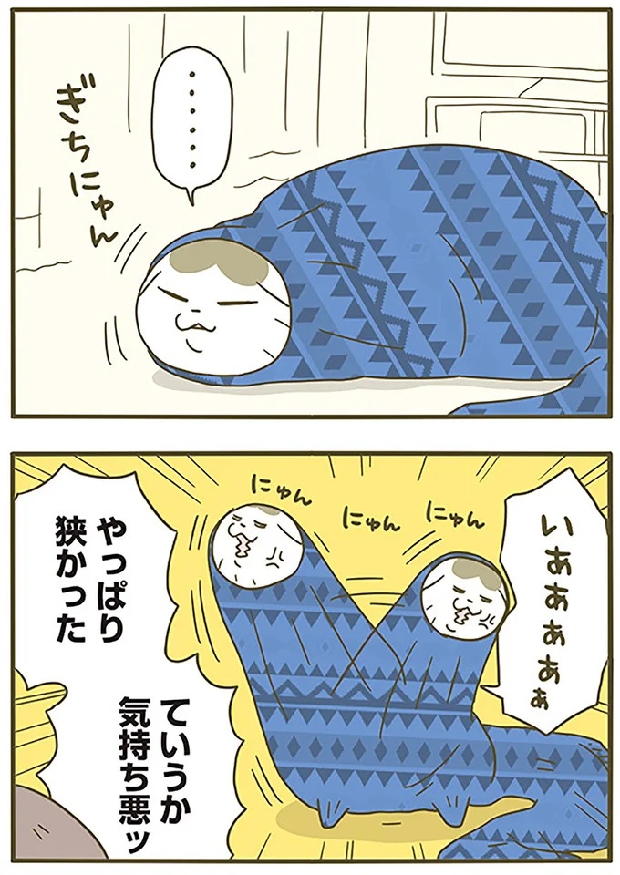 寒くなってきたときの猫。「ギチギチじゃないか」気持ち悪い姿は／うちの猫がまた変なことしてる。6（画像7/14枚目）