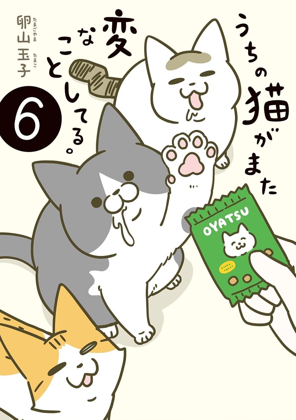 寒くなってきたときの猫。「ギチギチじゃないか」気持ち悪い姿は／うちの猫がまた変なことしてる。6（画像14/14枚目）
