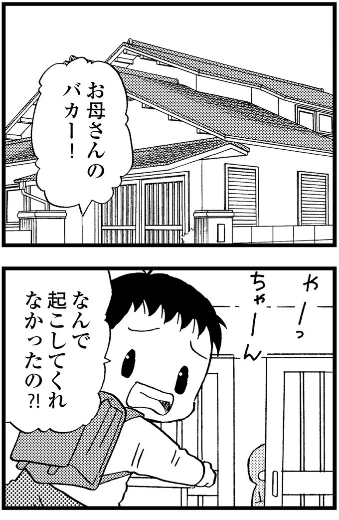 優しくて大好きだった母。小学生の僕が「異変」に気付いたのはショッピングセンターだった／48歳で認知症になった母（画像42/401枚目）