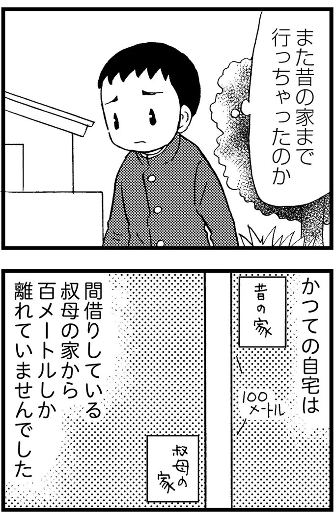 優しくて大好きだった母。小学生の僕が「異変」に気付いたのはショッピングセンターだった／48歳で認知症になった母（画像148/401枚目）