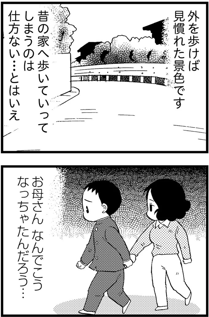 優しくて大好きだった母。小学生の僕が「異変」に気付いたのはショッピングセンターだった／48歳で認知症になった母（画像151/401枚目）