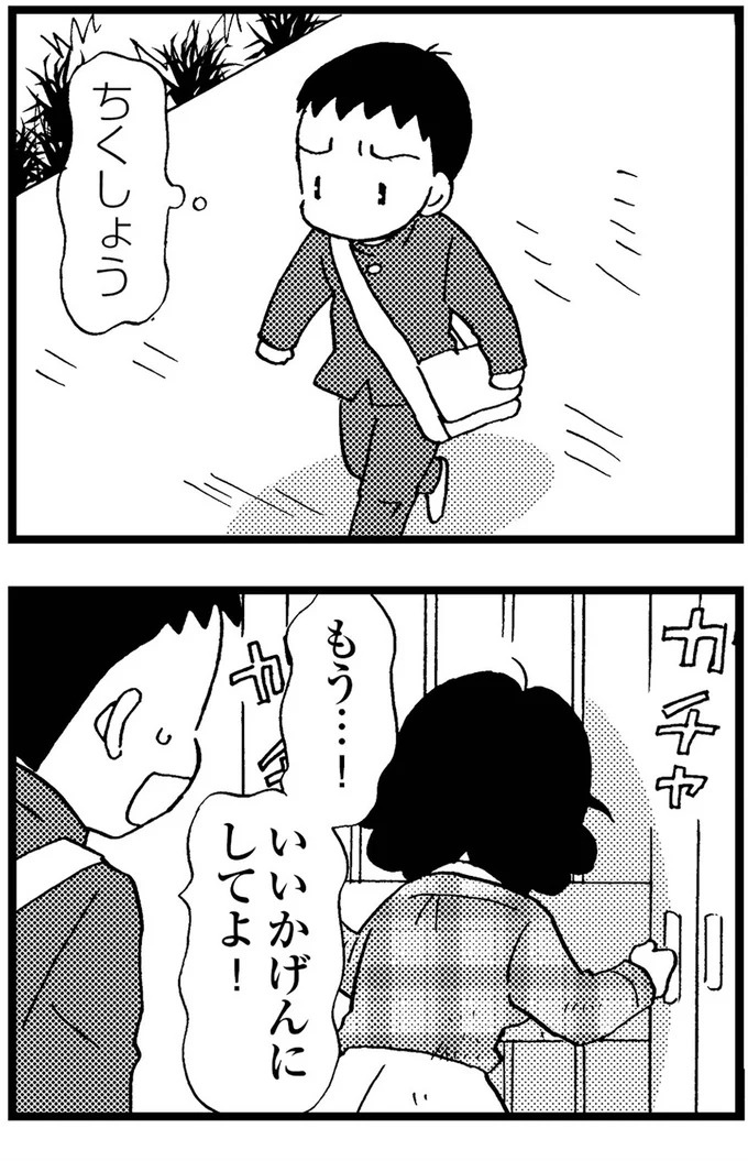 優しくて大好きだった母。小学生の僕が「異変」に気付いたのはショッピングセンターだった／48歳で認知症になった母（画像217/401枚目）