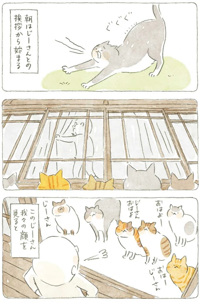 じーさんちを守って15代目の猫。猫を見るとじーさんは迷惑そうな顔をするが…／ねことじいちゃん5（画像6/12枚目）