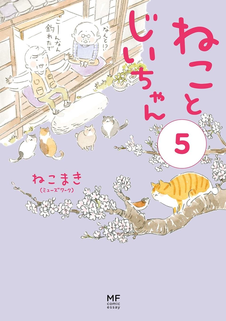 「大きな病院に移る」「結婚」。診療所の若先生の去就をめぐって島に広がる噂話 ／ねことじいちゃん5（画像12/12枚目）