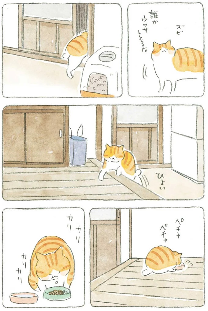「気ままだから留守番にならない」と言われた猫。家で一人、じいちゃんがいないと気付いたが／ねことじいちゃん5（画像4枚目）