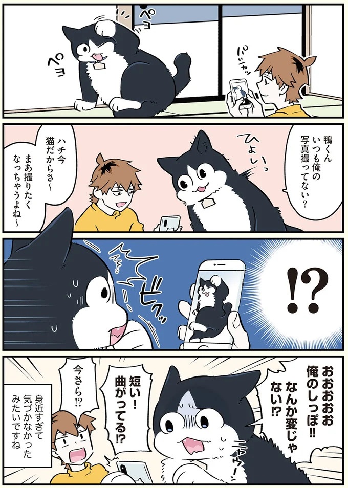 「猫になりたい」悩めるブラック企業社員。「先輩」の助言は…／ブラック企業の社員が猫になって人生が変わった話3（画像33/109枚目）