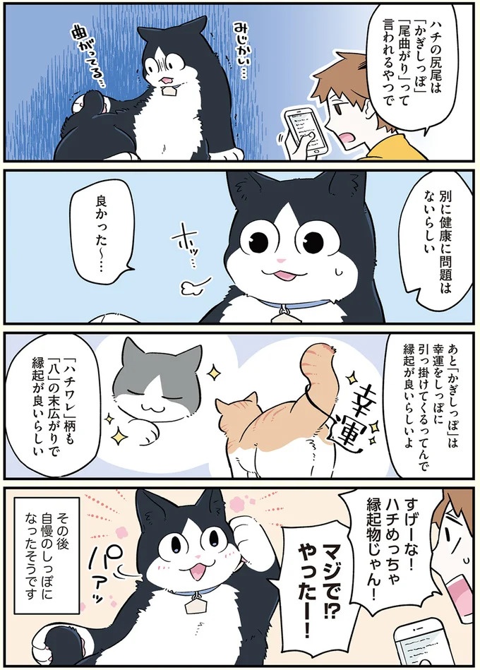 「猫になりたい」悩めるブラック企業社員。「先輩」の助言は…／ブラック企業の社員が猫になって人生が変わった話3（画像34/109枚目）