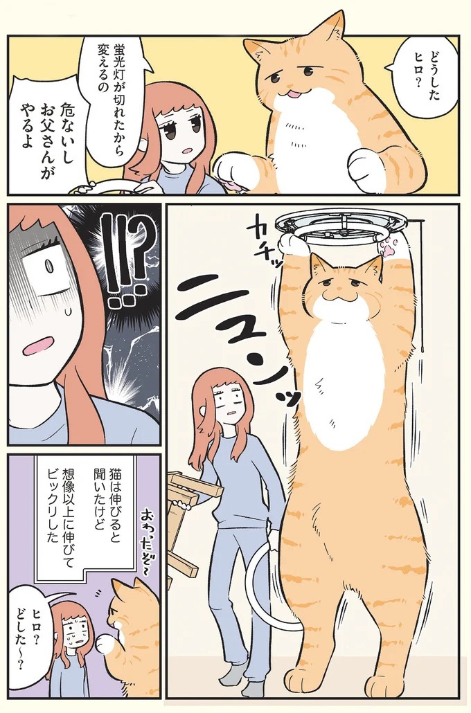 「猫になりたい」悩めるブラック企業社員。「先輩」の助言は…／ブラック企業の社員が猫になって人生が変わった話3（画像86/109枚目）