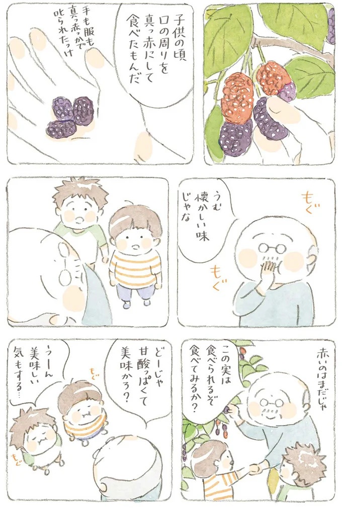 島全部が遊び場だったじいちゃんの子ども時代。しょぼくれてると姉がくれたものは!?／ねことじいちゃん6（画像3枚目）