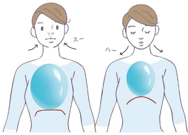なぜ呼吸を見直すだけで姿勢が変わるのか。ボディメイクの土台となる「圧」の役割