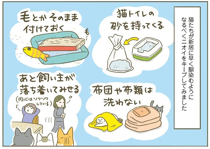 「えッ⁉ ネコチャンダッ‼」猫好きの引っ越し業者さん。愛猫たちの反応は／うちの猫がまた変なことしてる。7 ／うちの猫がまた変なことしてる。7（画像13/129枚目）