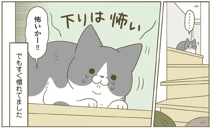 「えッ⁉ ネコチャンダッ‼」猫好きの引っ越し業者さん。愛猫たちの反応は／うちの猫がまた変なことしてる。7 ／うちの猫がまた変なことしてる。7（画像18/129枚目）