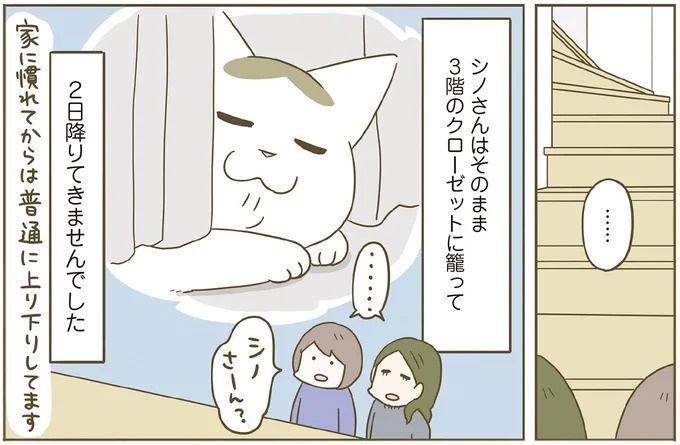 「えッ⁉ ネコチャンダッ‼」猫好きの引っ越し業者さん。愛猫たちの反応は／うちの猫がまた変なことしてる。7 ／うちの猫がまた変なことしてる。7（画像21/129枚目）