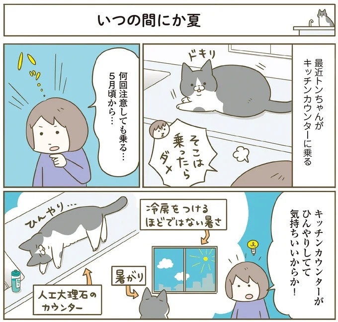 「えッ⁉ ネコチャンダッ‼」猫好きの引っ越し業者さん。愛猫たちの反応は／うちの猫がまた変なことしてる。7 ／うちの猫がまた変なことしてる。7（画像22/129枚目）