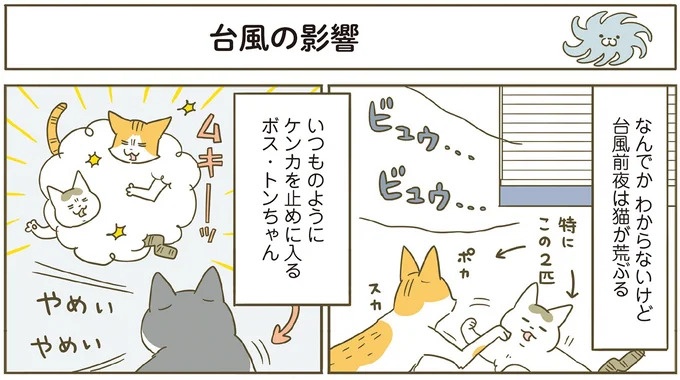 「えッ⁉ ネコチャンダッ‼」猫好きの引っ越し業者さん。愛猫たちの反応は／うちの猫がまた変なことしてる。7 ／うちの猫がまた変なことしてる。7（画像24/129枚目）