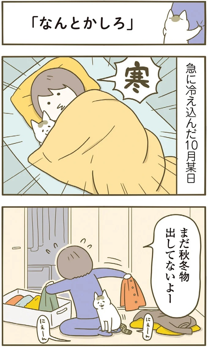 「えッ⁉ ネコチャンダッ‼」猫好きの引っ越し業者さん。愛猫たちの反応は／うちの猫がまた変なことしてる。7 ／うちの猫がまた変なことしてる。7（画像28/129枚目）