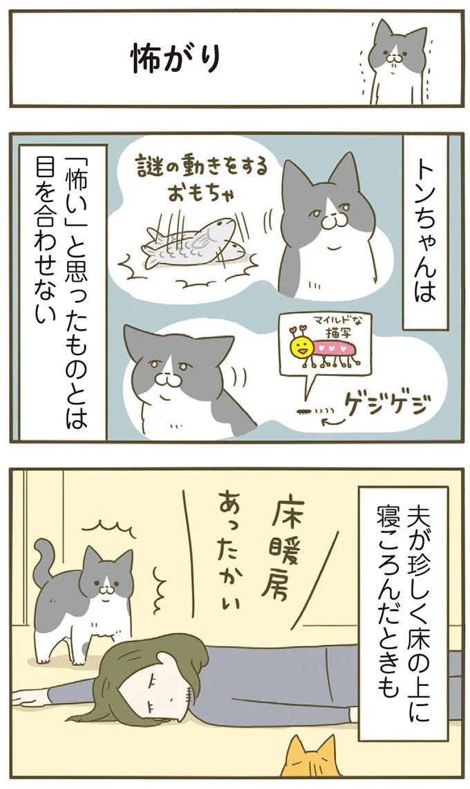 「えッ⁉ ネコチャンダッ‼」猫好きの引っ越し業者さん。愛猫たちの反応は／うちの猫がまた変なことしてる。7 ／うちの猫がまた変なことしてる。7（画像33/129枚目）