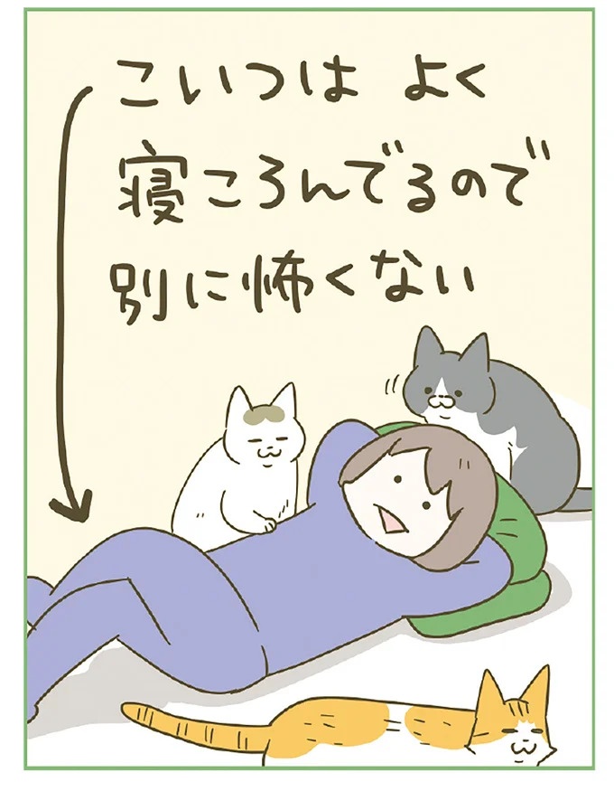 「えッ⁉ ネコチャンダッ‼」猫好きの引っ越し業者さん。愛猫たちの反応は／うちの猫がまた変なことしてる。7 ／うちの猫がまた変なことしてる。7（画像37/129枚目）