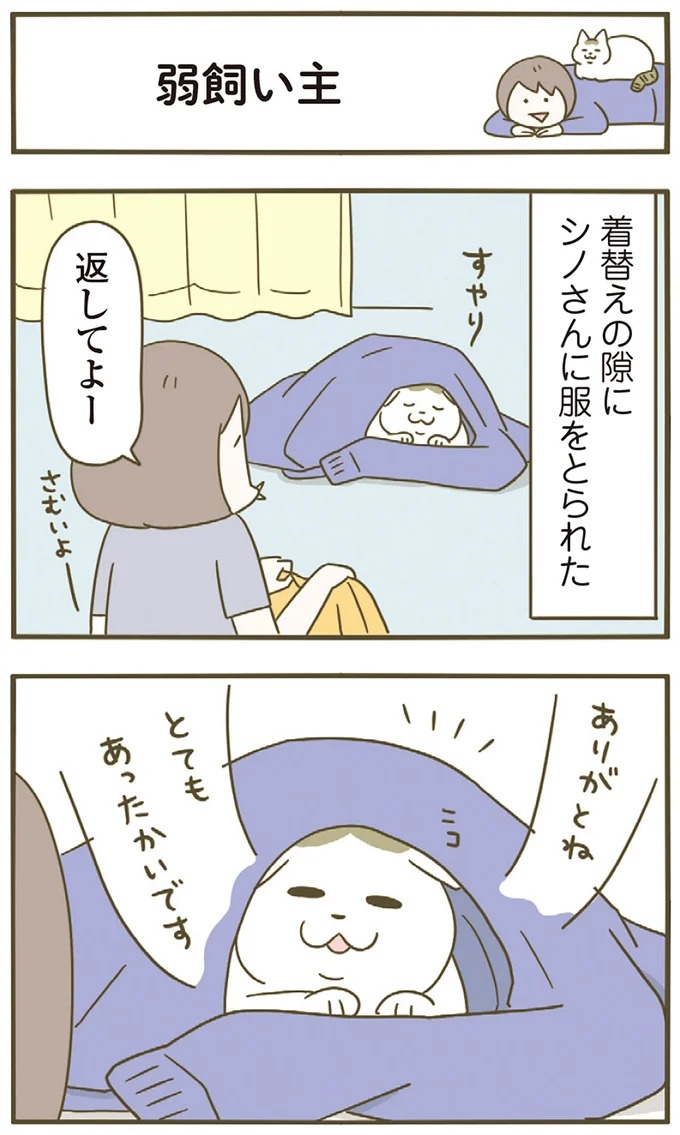 「えッ⁉ ネコチャンダッ‼」猫好きの引っ越し業者さん。愛猫たちの反応は／うちの猫がまた変なことしてる。7 ／うちの猫がまた変なことしてる。7（画像38/129枚目）