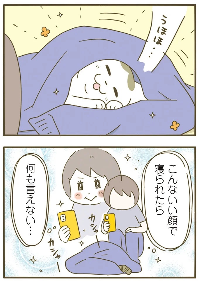 「えッ⁉ ネコチャンダッ‼」猫好きの引っ越し業者さん。愛猫たちの反応は／うちの猫がまた変なことしてる。7 ／うちの猫がまた変なことしてる。7（画像39/129枚目）