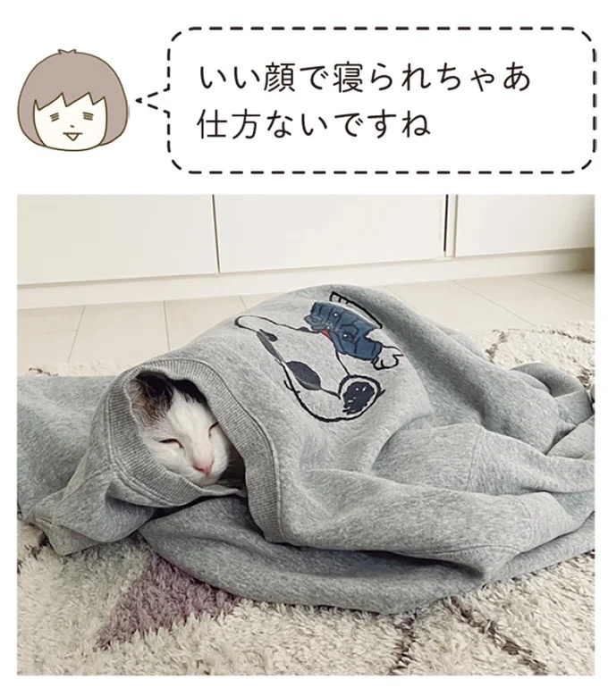 「えッ⁉ ネコチャンダッ‼」猫好きの引っ越し業者さん。愛猫たちの反応は／うちの猫がまた変なことしてる。7 ／うちの猫がまた変なことしてる。7（画像41/129枚目）