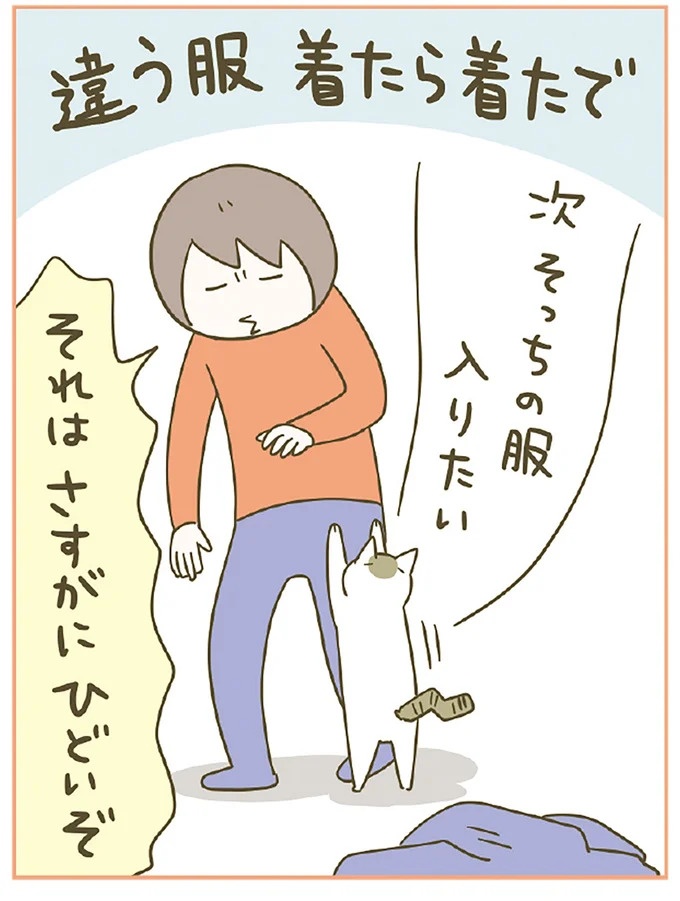 「えッ⁉ ネコチャンダッ‼」猫好きの引っ越し業者さん。愛猫たちの反応は／うちの猫がまた変なことしてる。7 ／うちの猫がまた変なことしてる。7（画像42/129枚目）
